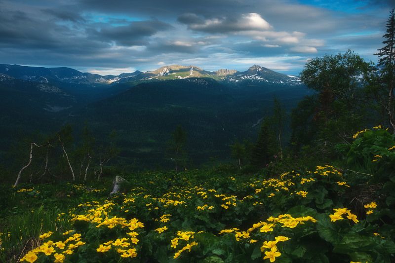 россия, кемеровская область, кузнецкий алатау, поднебесные зубья, тигир-тиш, хребет, сибирь, весна, пейзаж, природа, закат Поднебесные Зубья фото превью