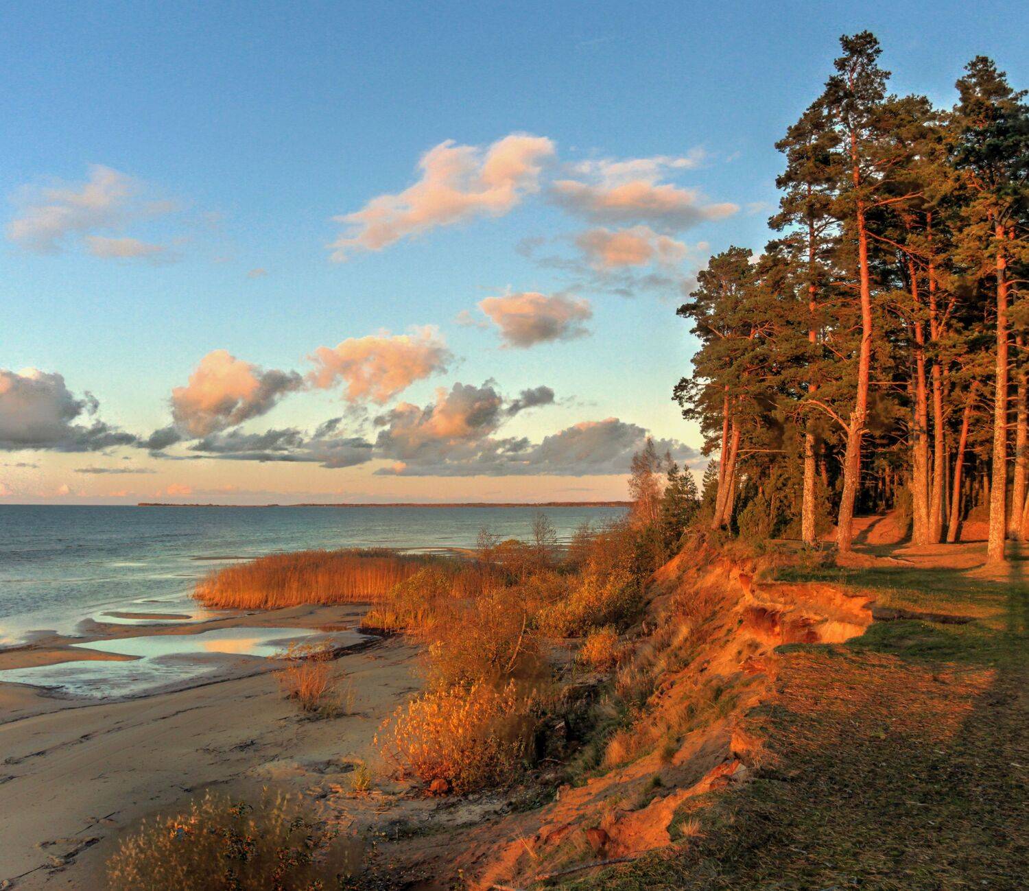 , Сергей Григорьев