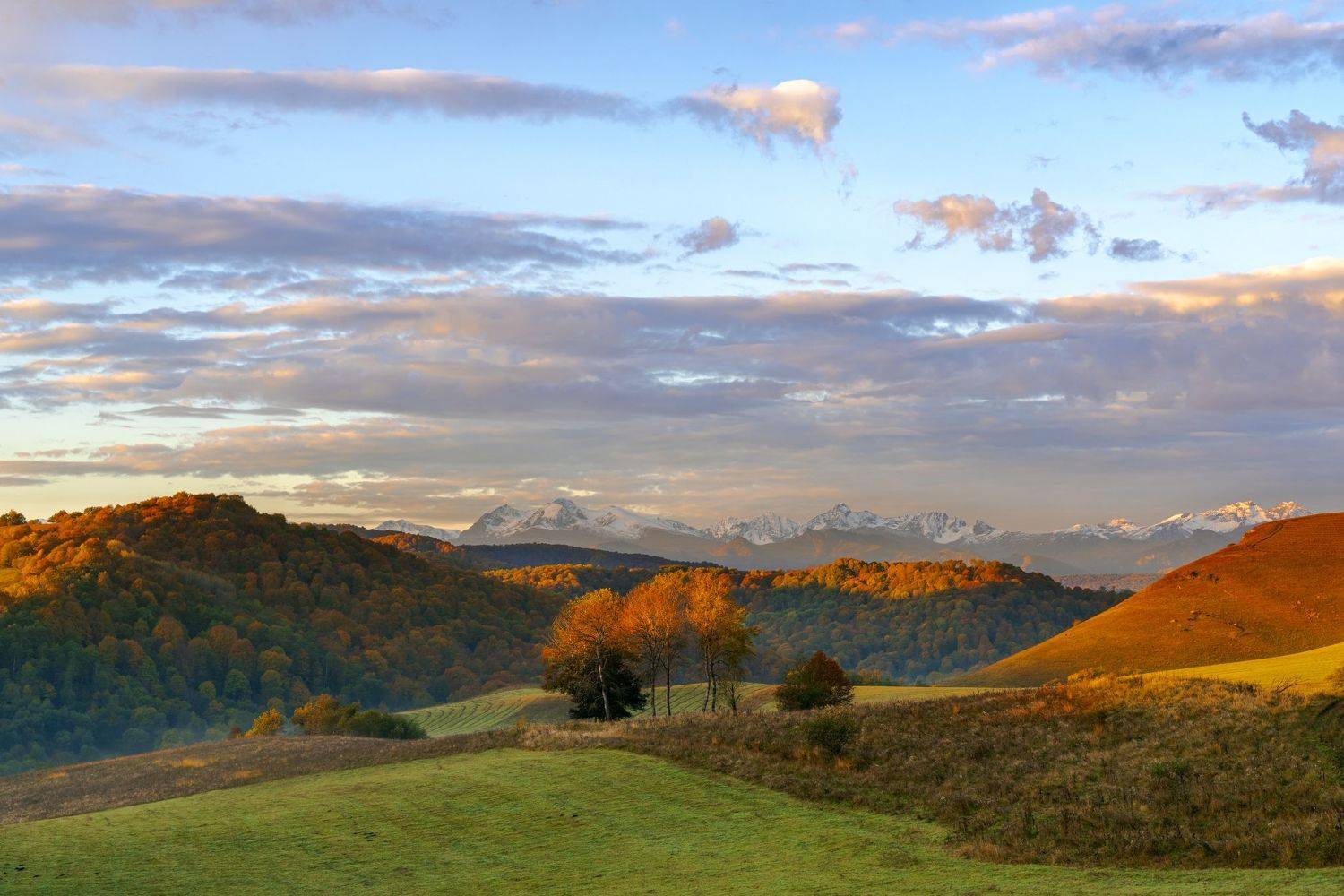 , Юлия Шумляева