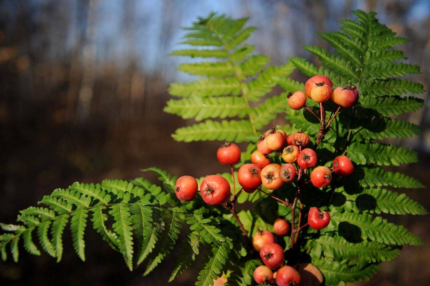 , Дарья Васильева