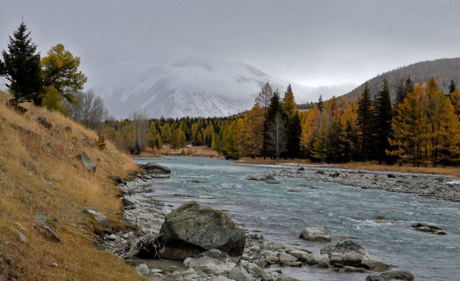 , Евгений Зинов