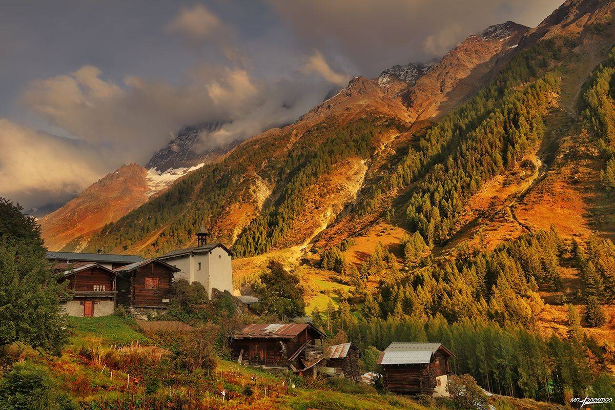 swiss, Матвеев Николай