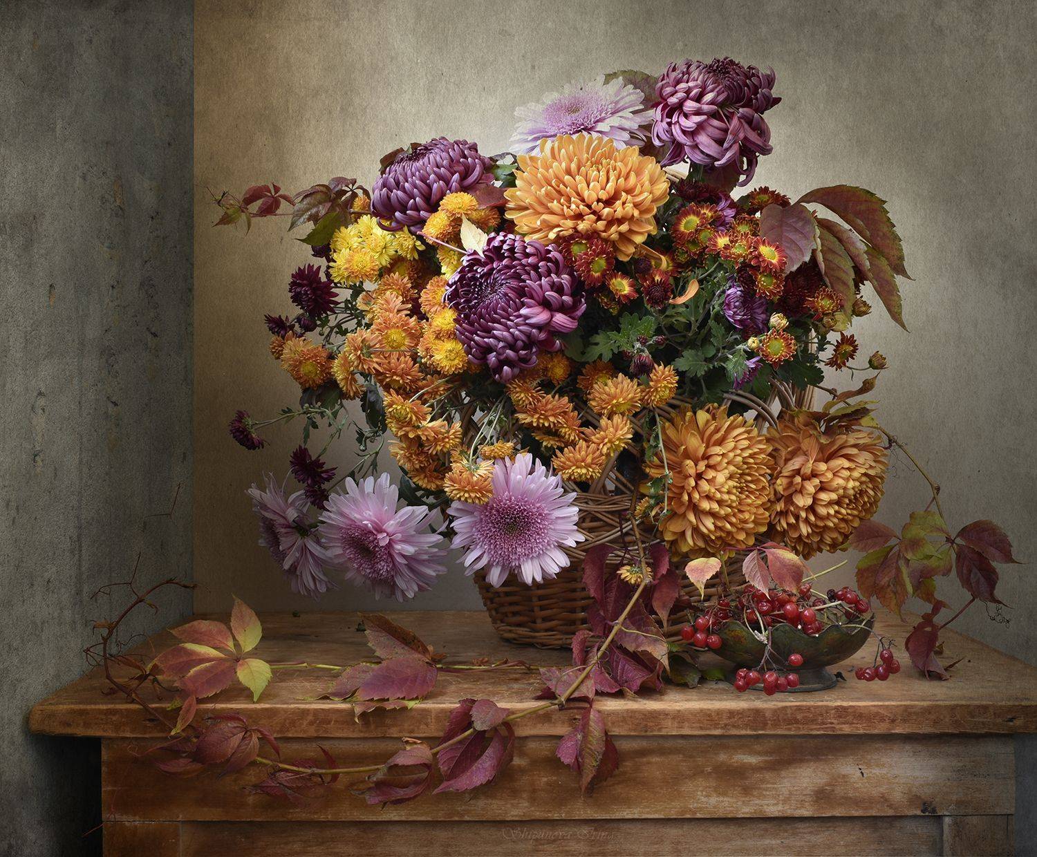 , Шипунова Ирина