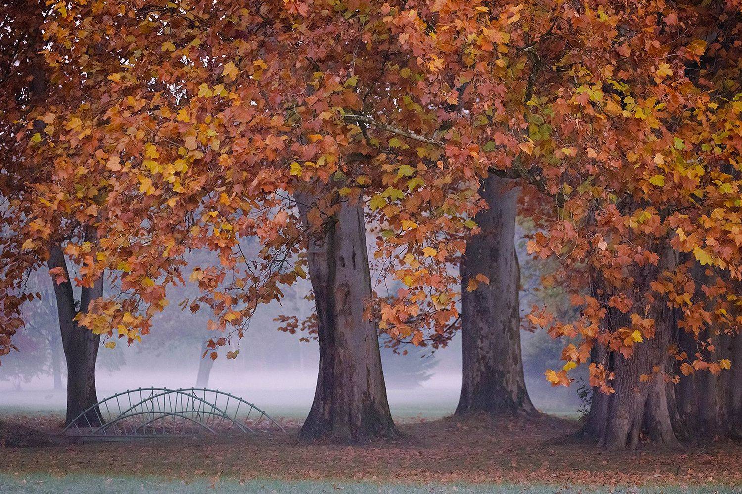 , Robert Adamec