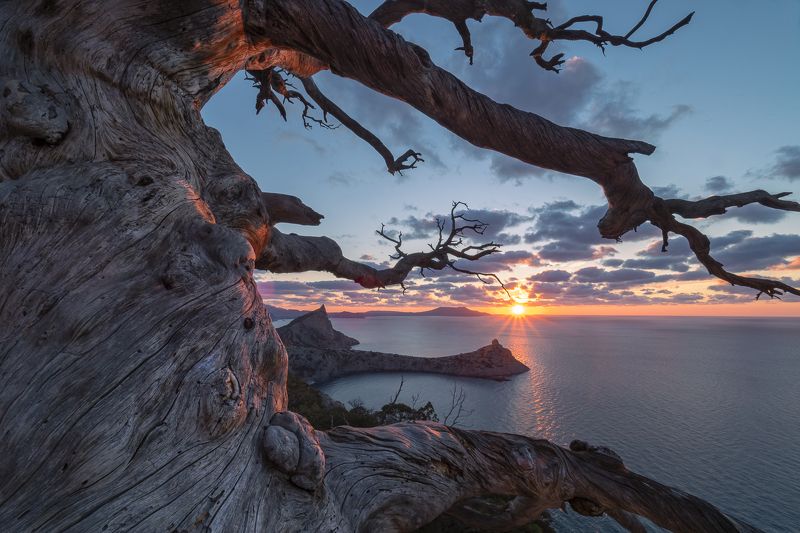 из Нового... фото превью