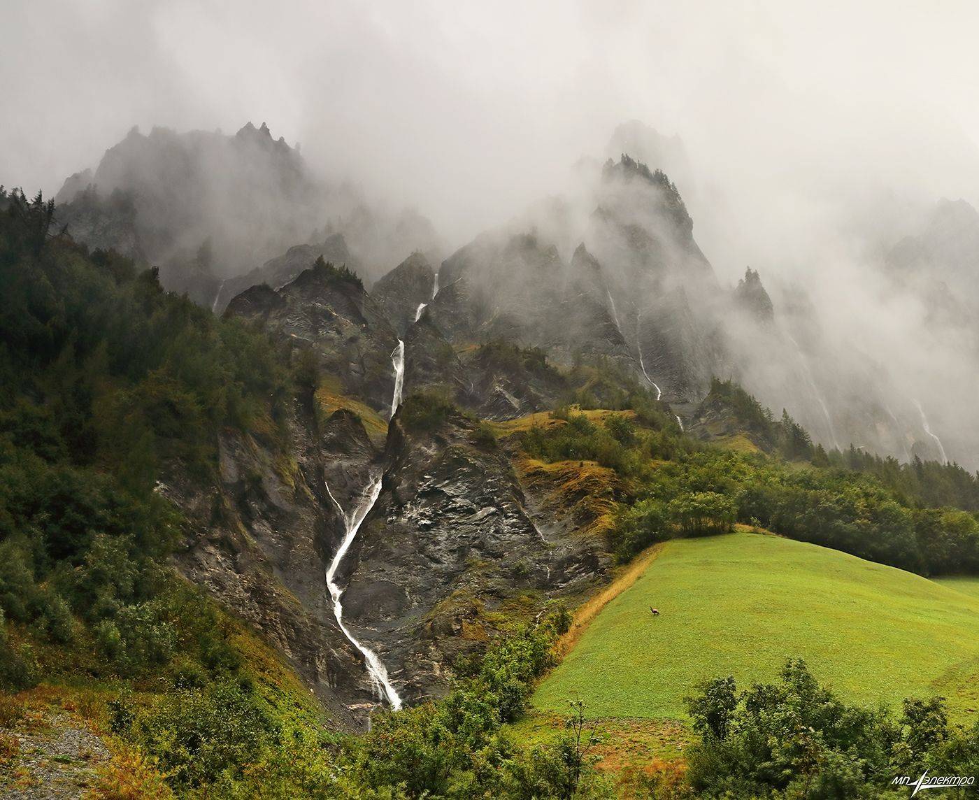swiss, Матвеев Николай