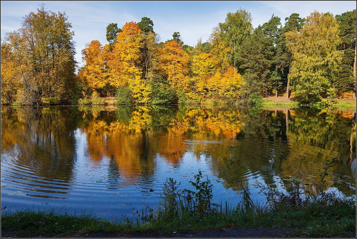 москва, осень, озеро, АНАТОЛИЙ ДОВЫДЕНКО
