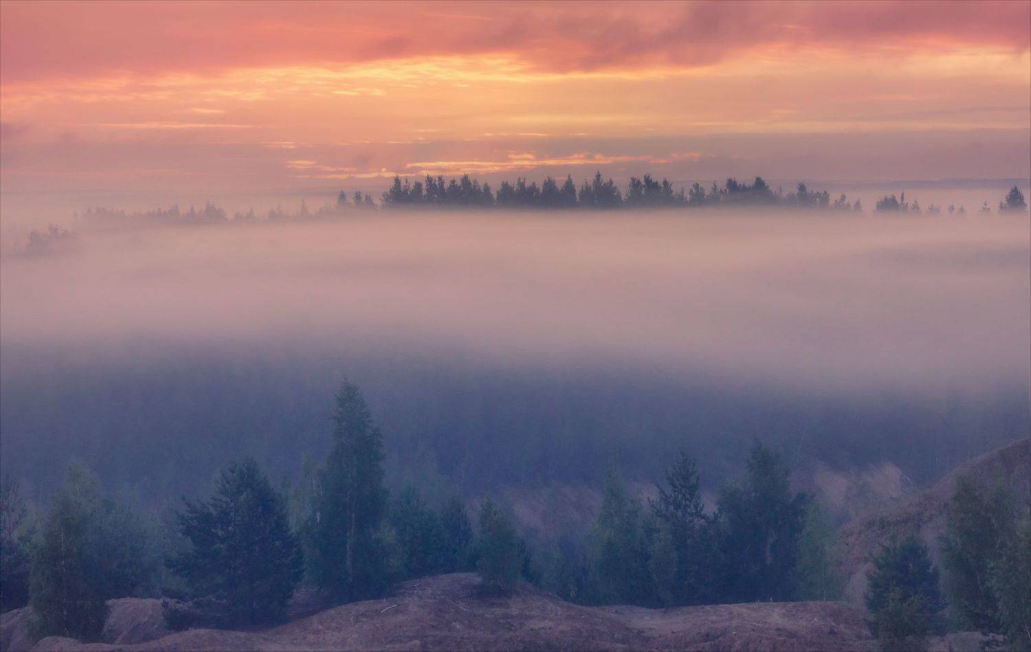 , Алексей Богорянов
