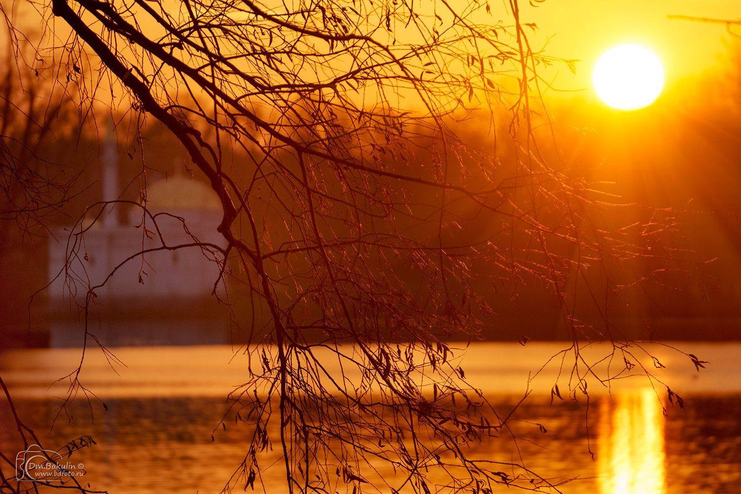 , Дмитрий Бакулин