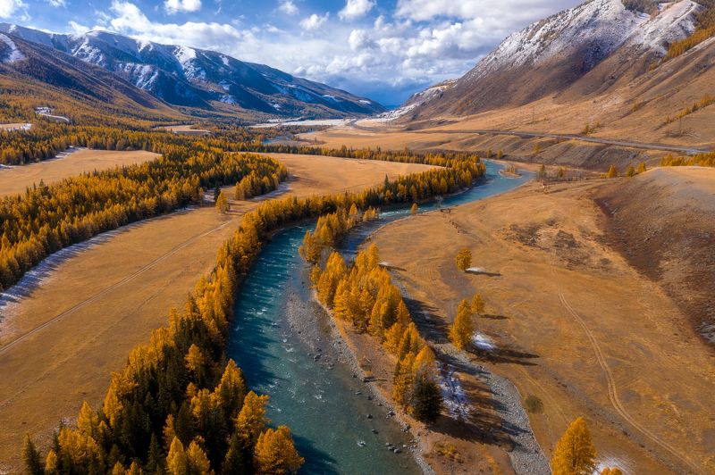 Чуя фото превью