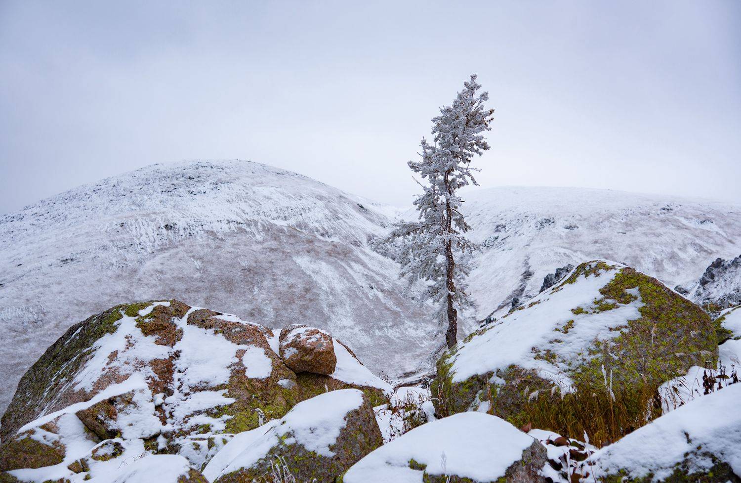 горы, Евгений Дроботенко