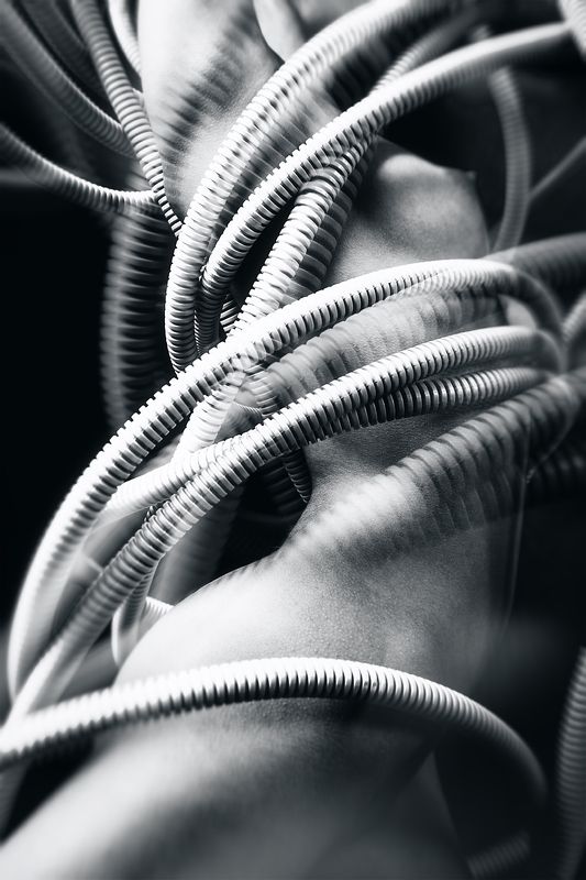 ... фото превью