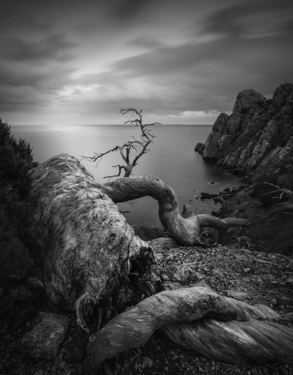 , Михаил Гапонов