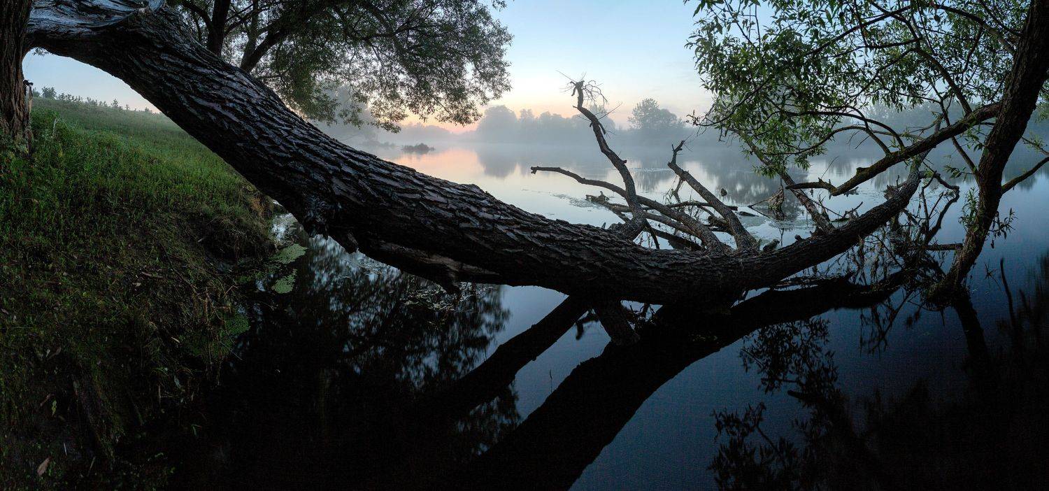 , Александр Бредихин