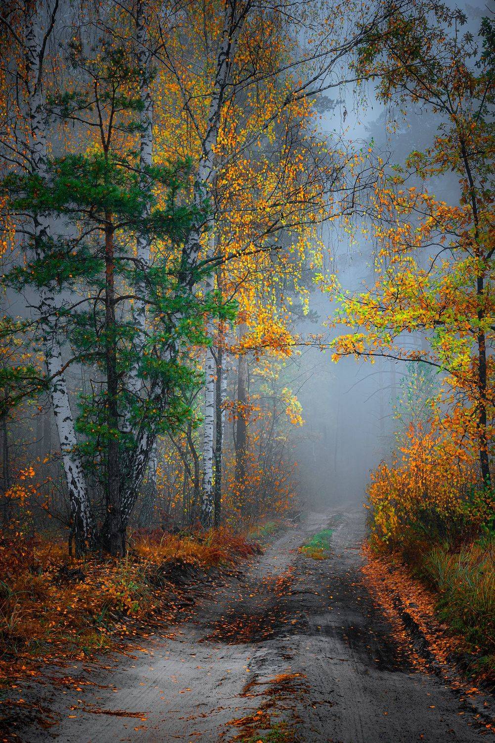 , Руслан Авдевич