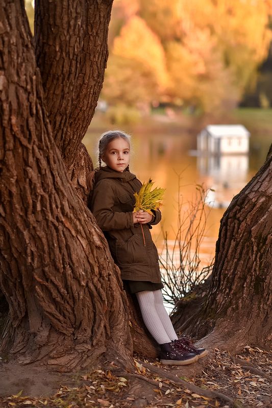 Осень на закате фото превью