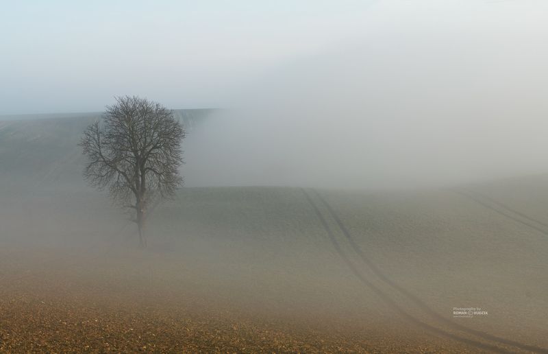 fog, fields, landscape, road, emptiness In the misty fields. фото превью