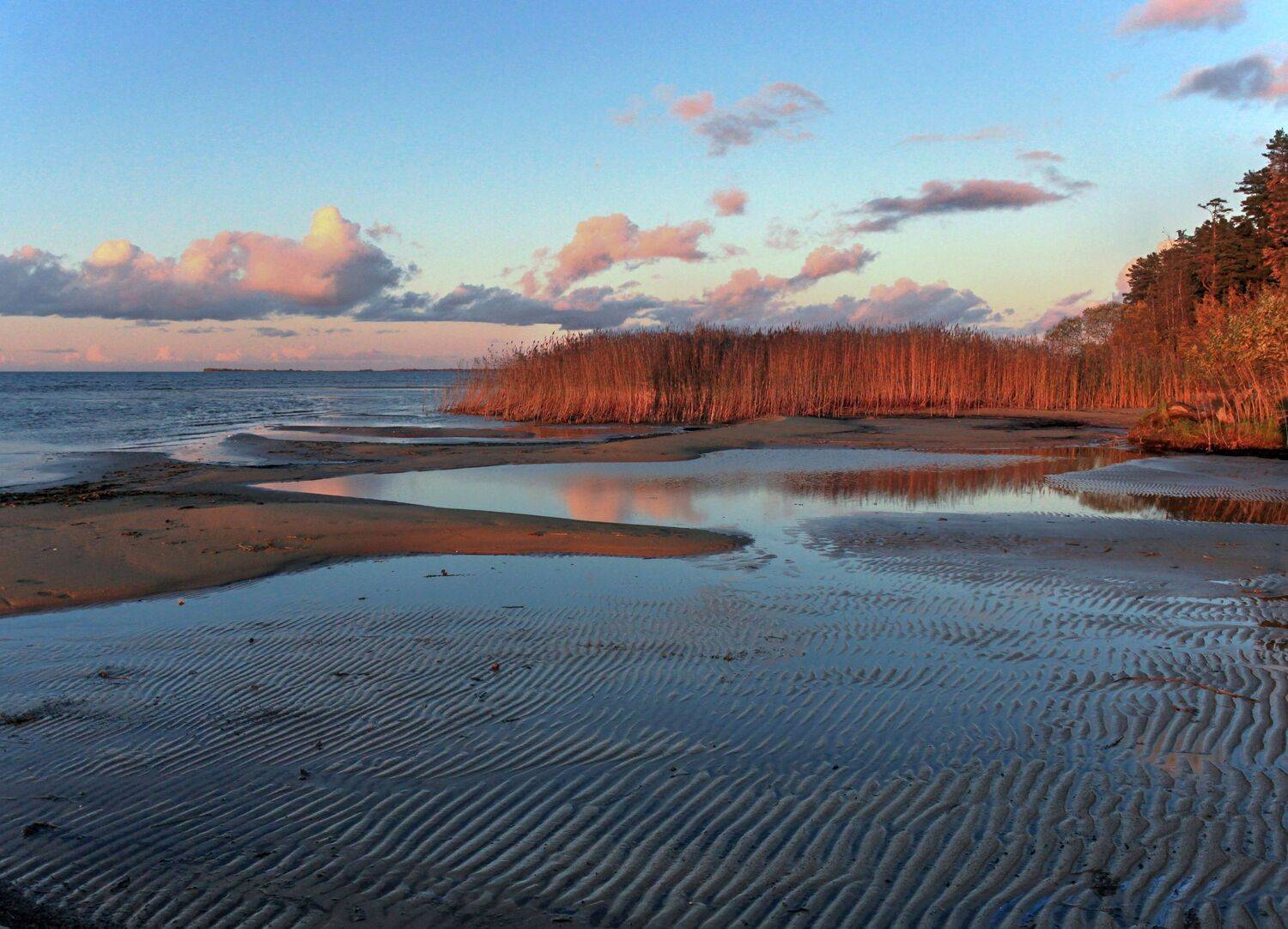 , Сергей Григорьев
