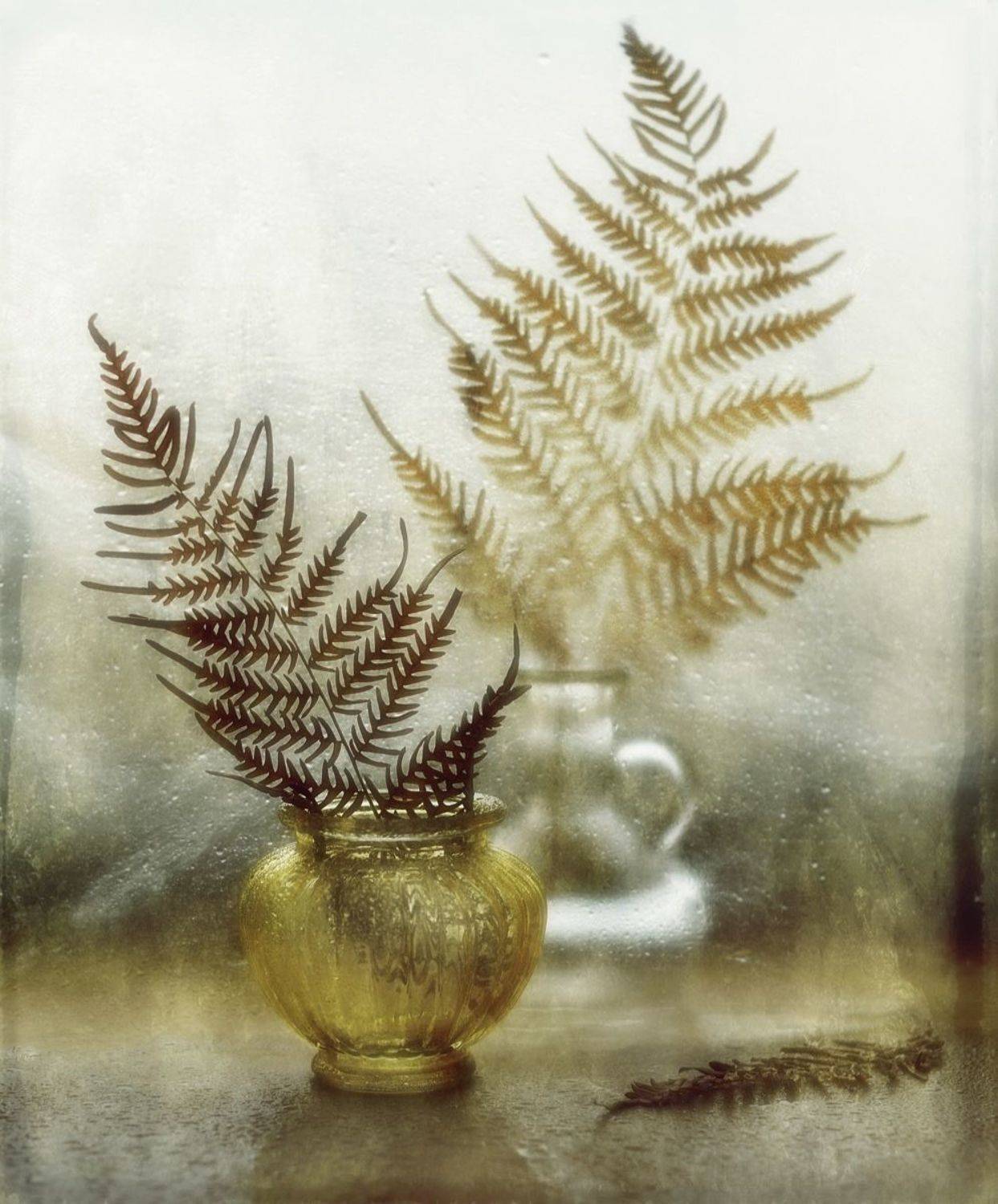 натюрморт,композиция,листья,осень,папоротник, Наталия К