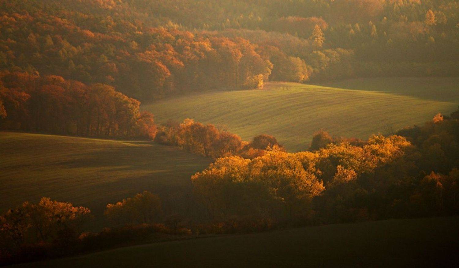 , Franti&scaron;ek Uhler