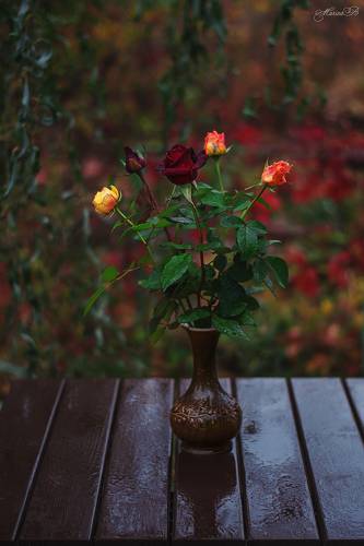 Грустная осень