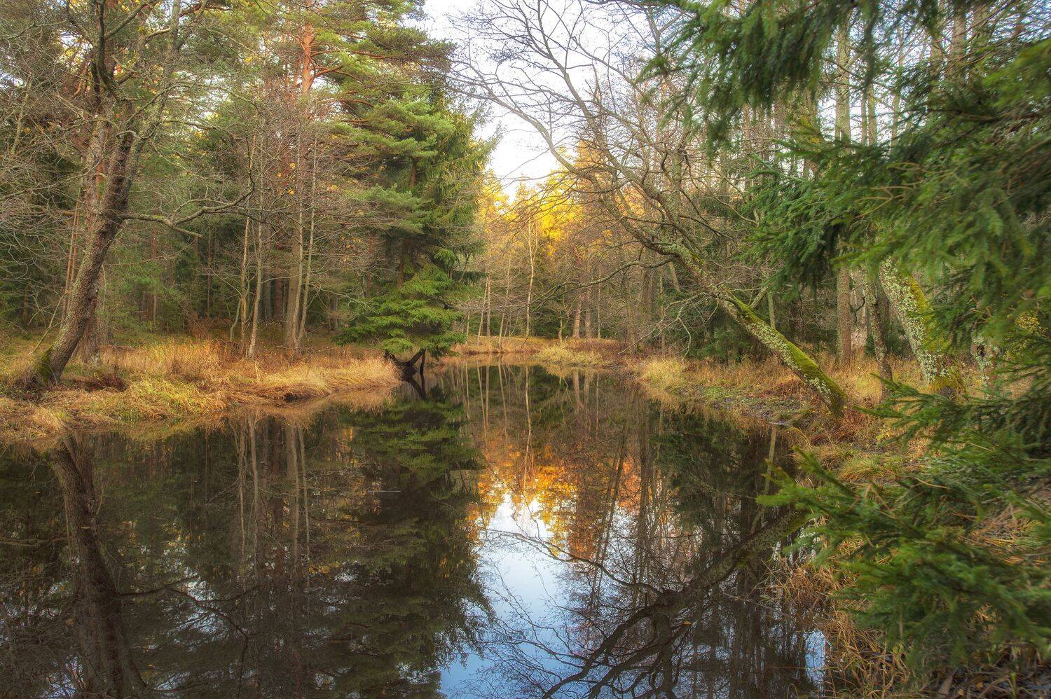 , Юрий Кулаков