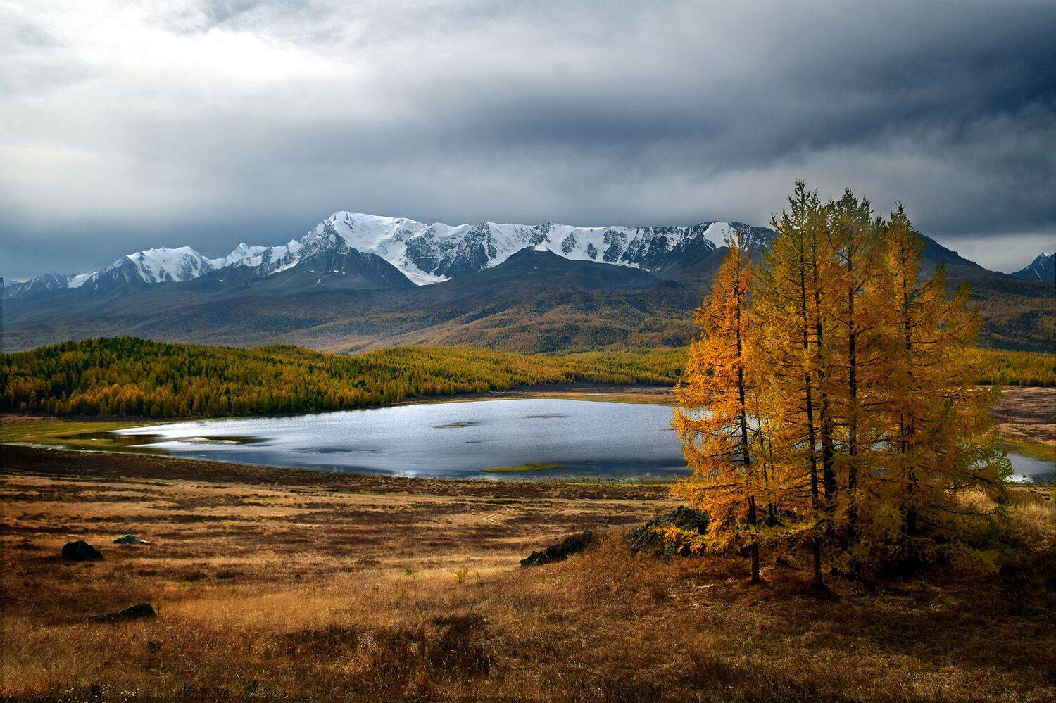 , Светлана Крат