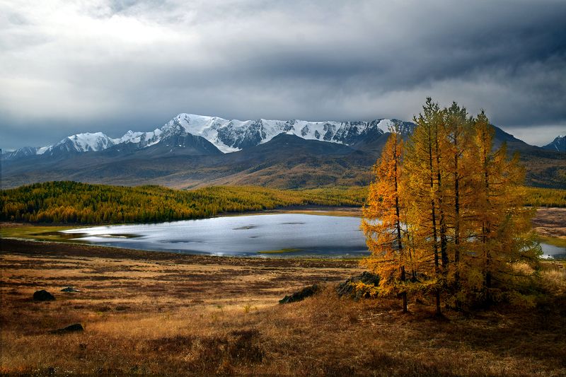 Осень медного отлива... фото превью