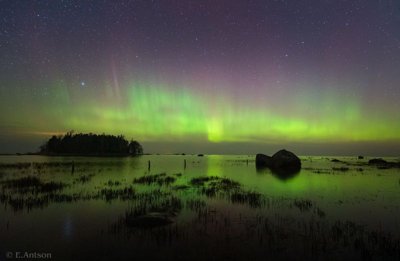 пейзаж, природа, ночь, эстония, полярное сияние Небесные изумруды фото превью