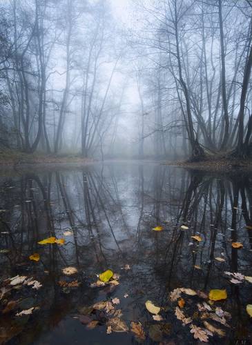 Autumn melancholy ..