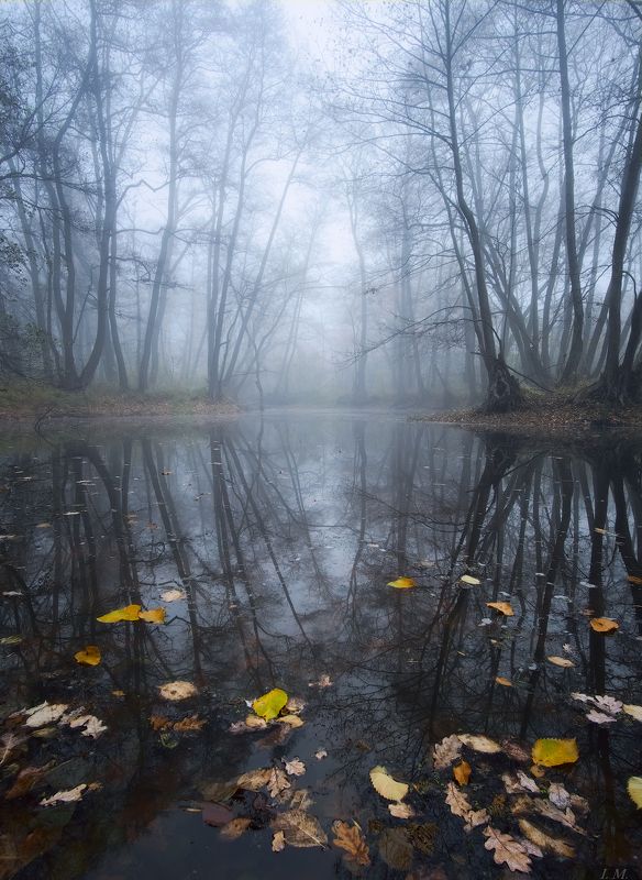 autumn, fog, forest, lake, Landscape, leaves, reflection, water, лес, листья, озеро, осень, отражение, пейзаж, туман, Осенний пейзаж, mist, landscapes, foggy, Melancholy Autumn melancholy .. фото превью