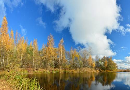Краски осени