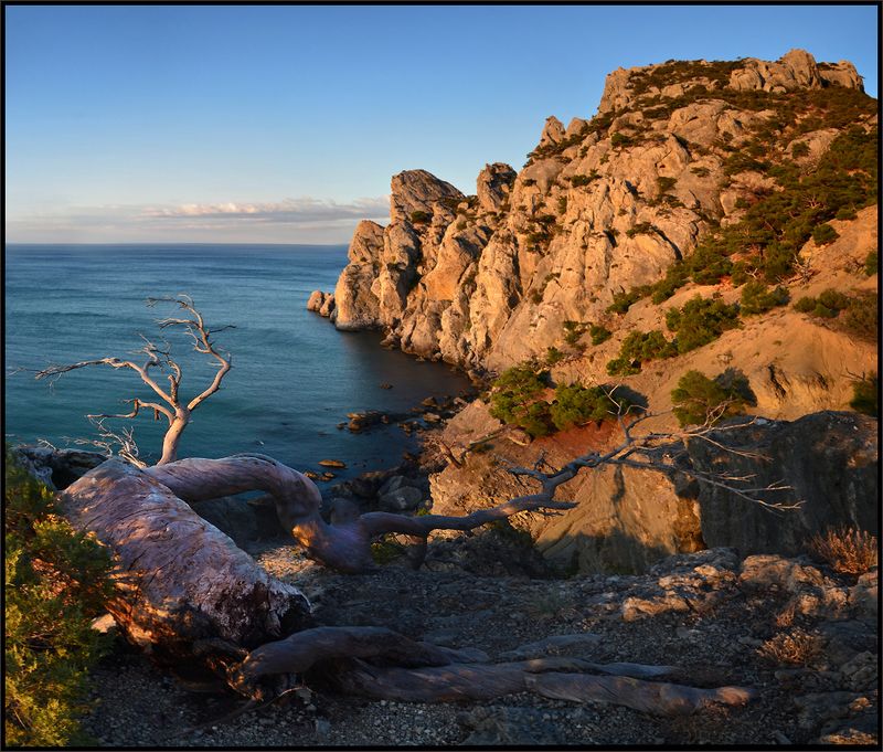 Утро ... фото превью