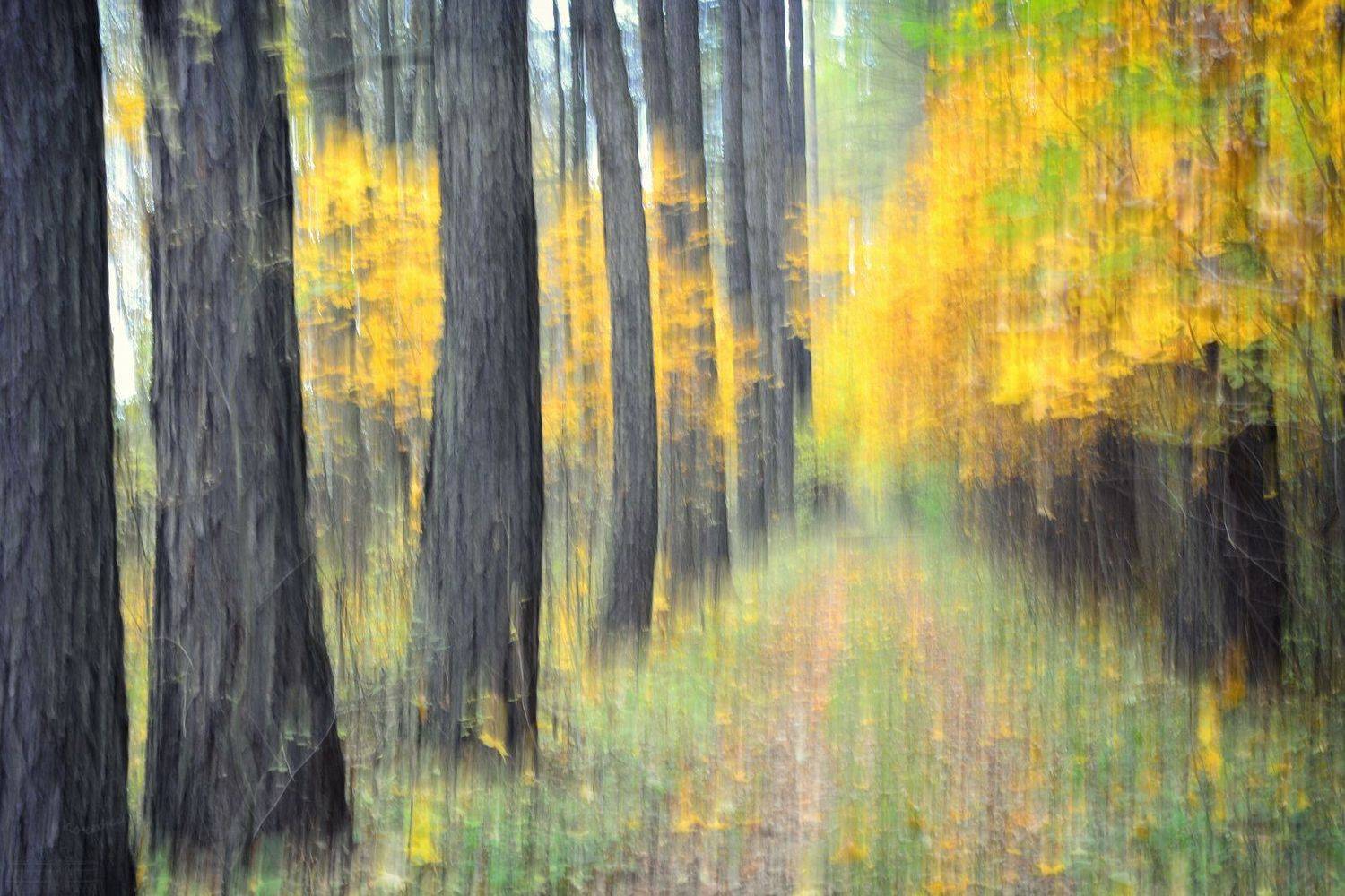 , Юлия Абрамова