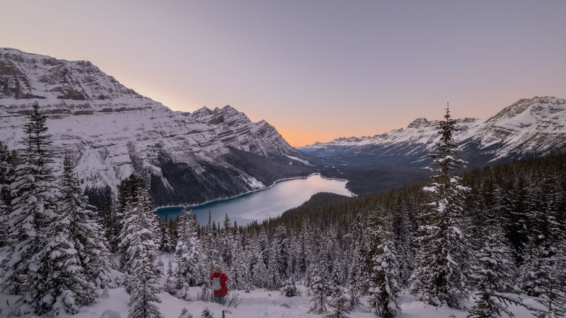 rockies, peyto, sunset МОРОЗ НАД ПЕЙТО фото превью