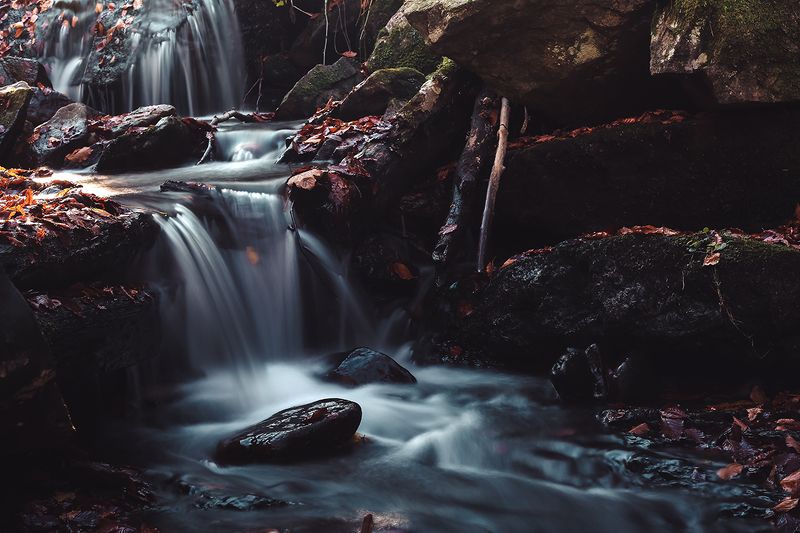 Autumn фото превью