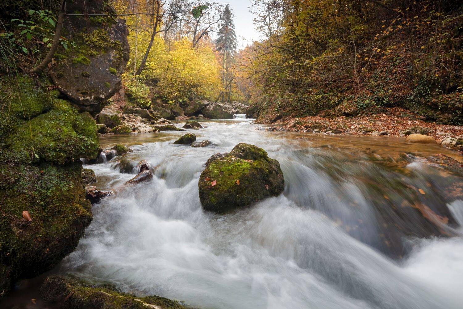 кавказ мезмай, Алексей Рыльский