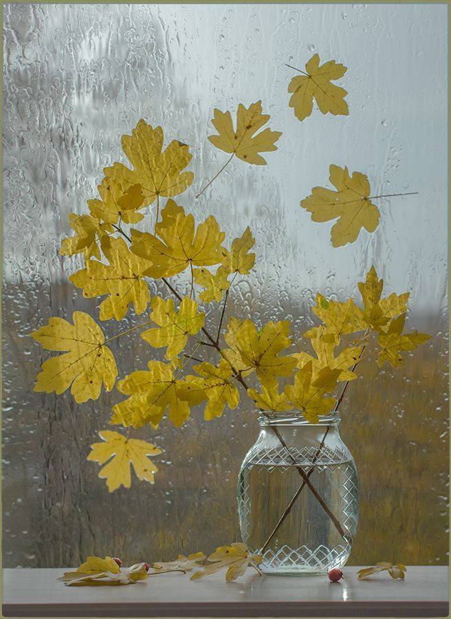 , Stein Georg