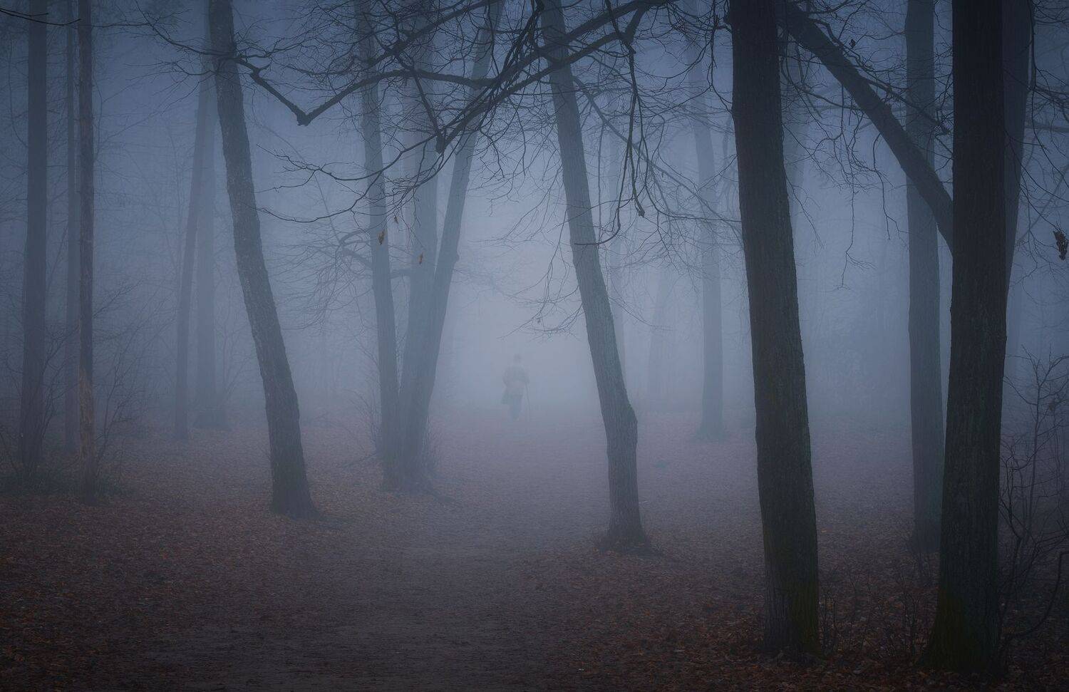 туман, лыткарино, утро, осень, Виталий Левыкин