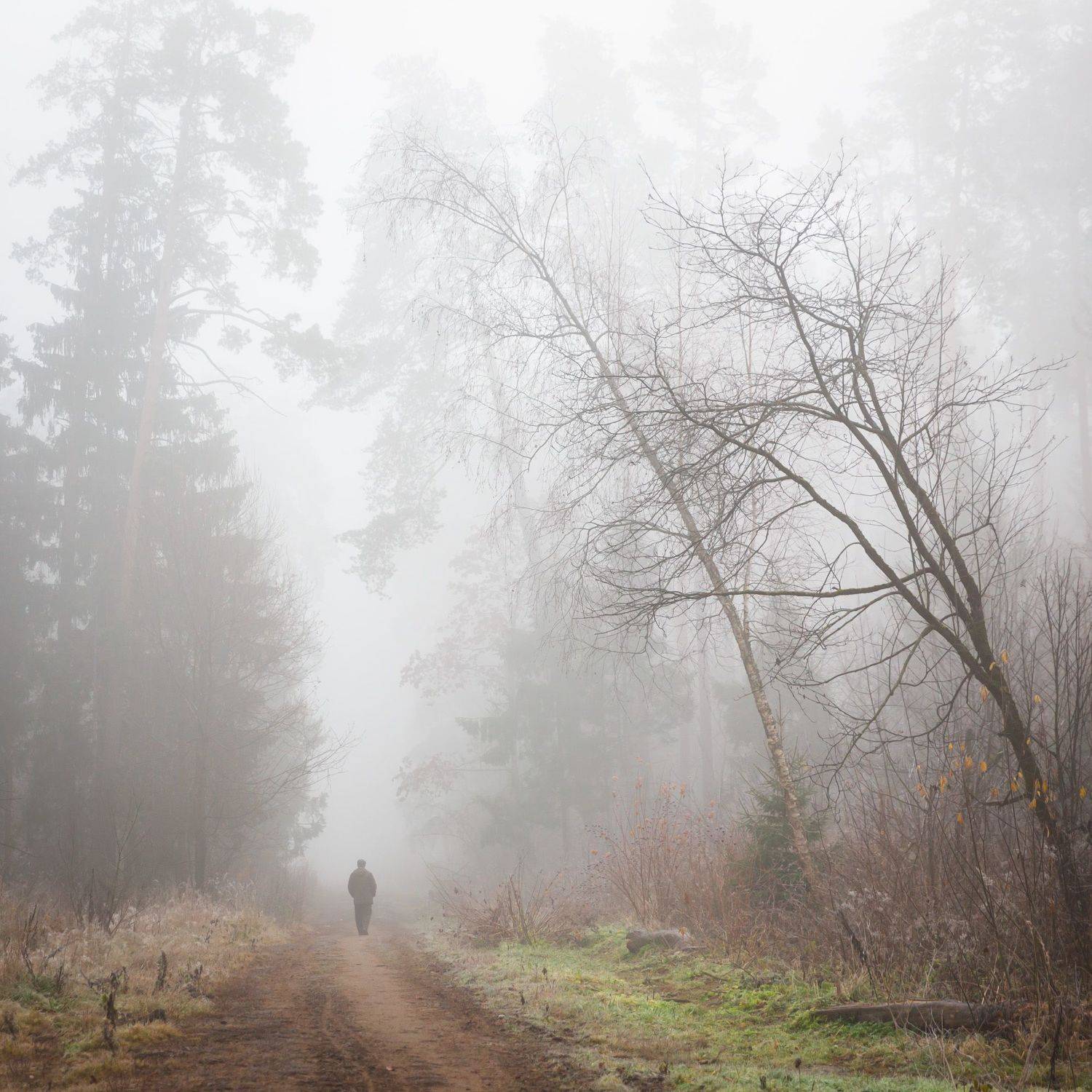 , Ирина Назарова