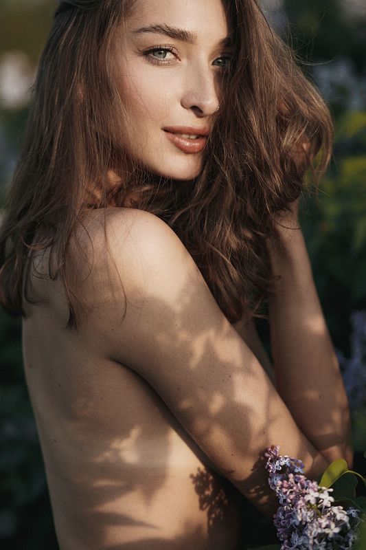 Сирень София фото превью