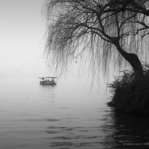 A hundred years of loneliness