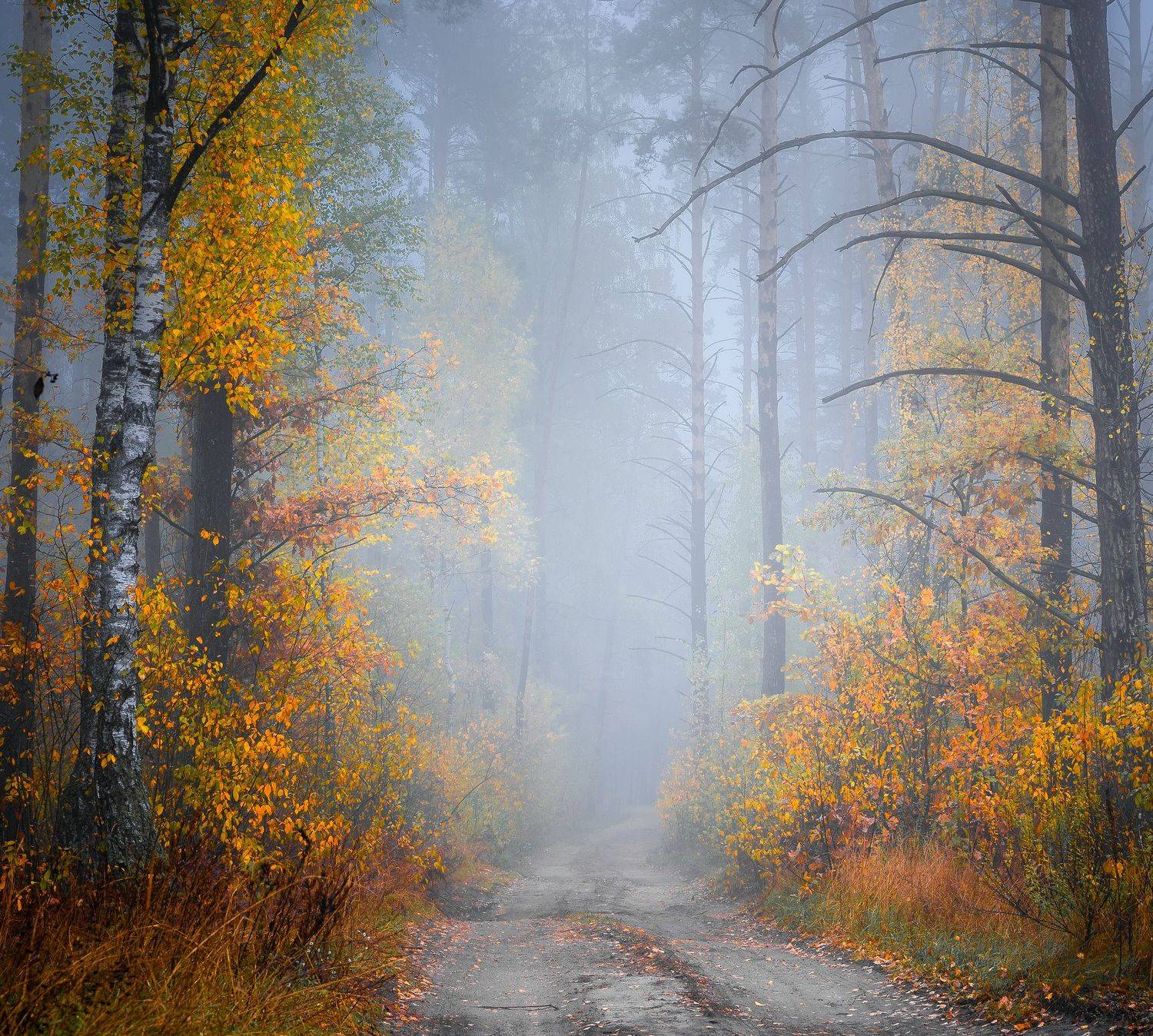 , Руслан Авдевич