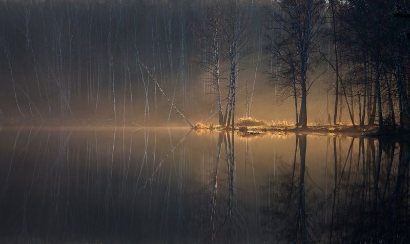 туман, рассвет, осень Свет фото превью