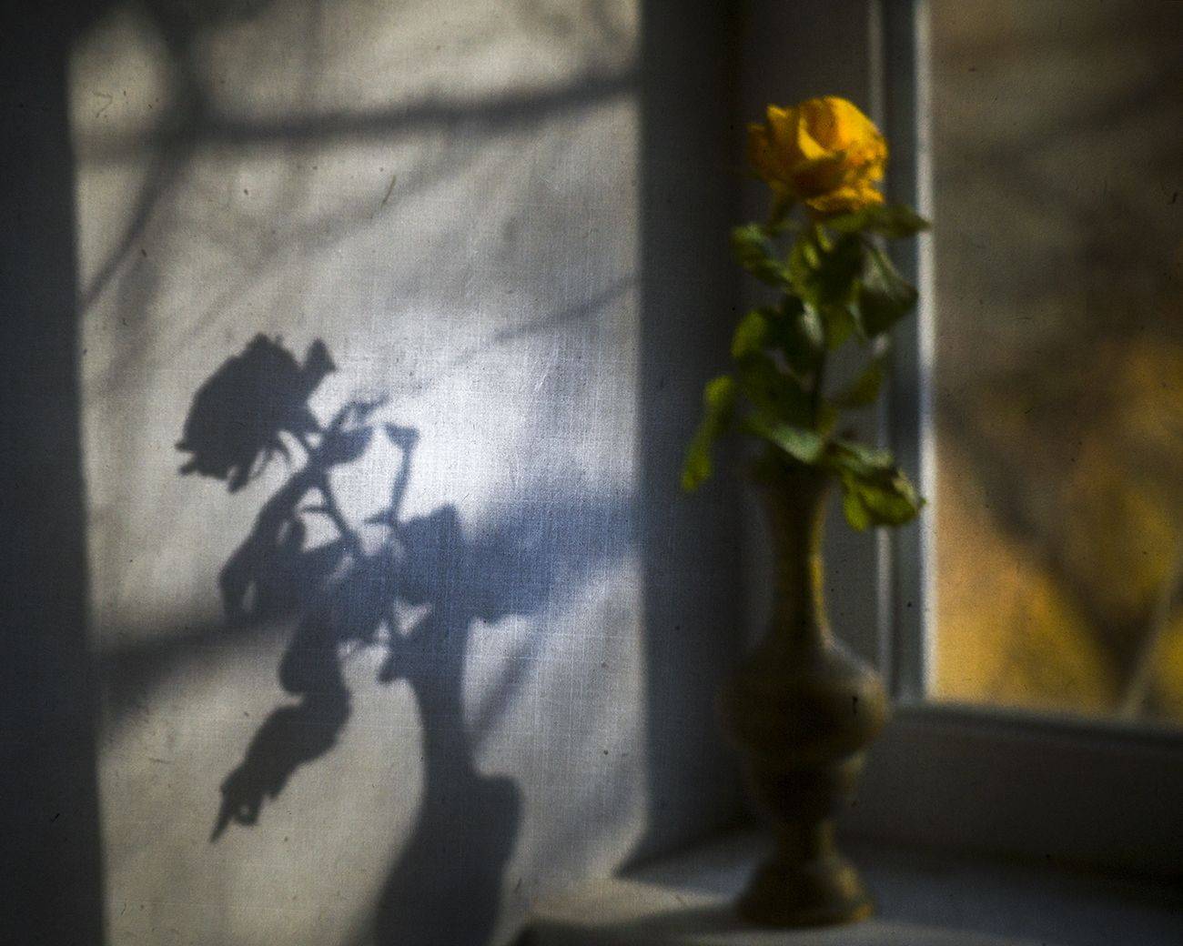 #haruhisacamera, Татьяна Аверина