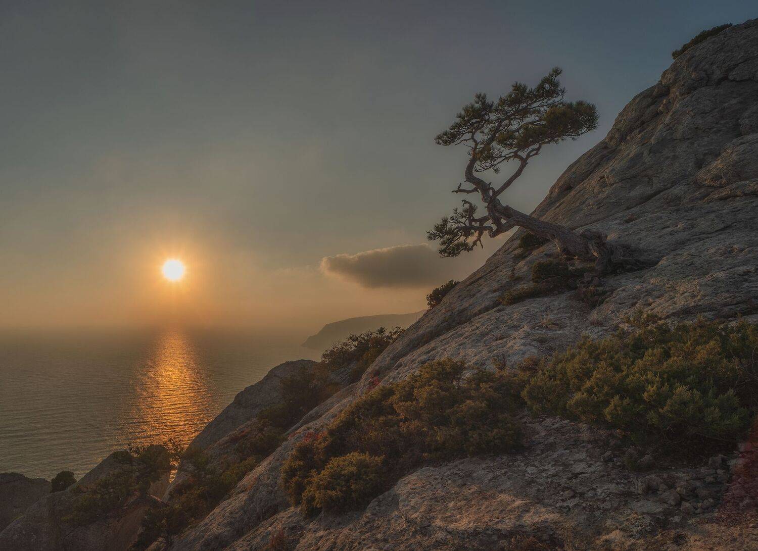 , Константин Дэм