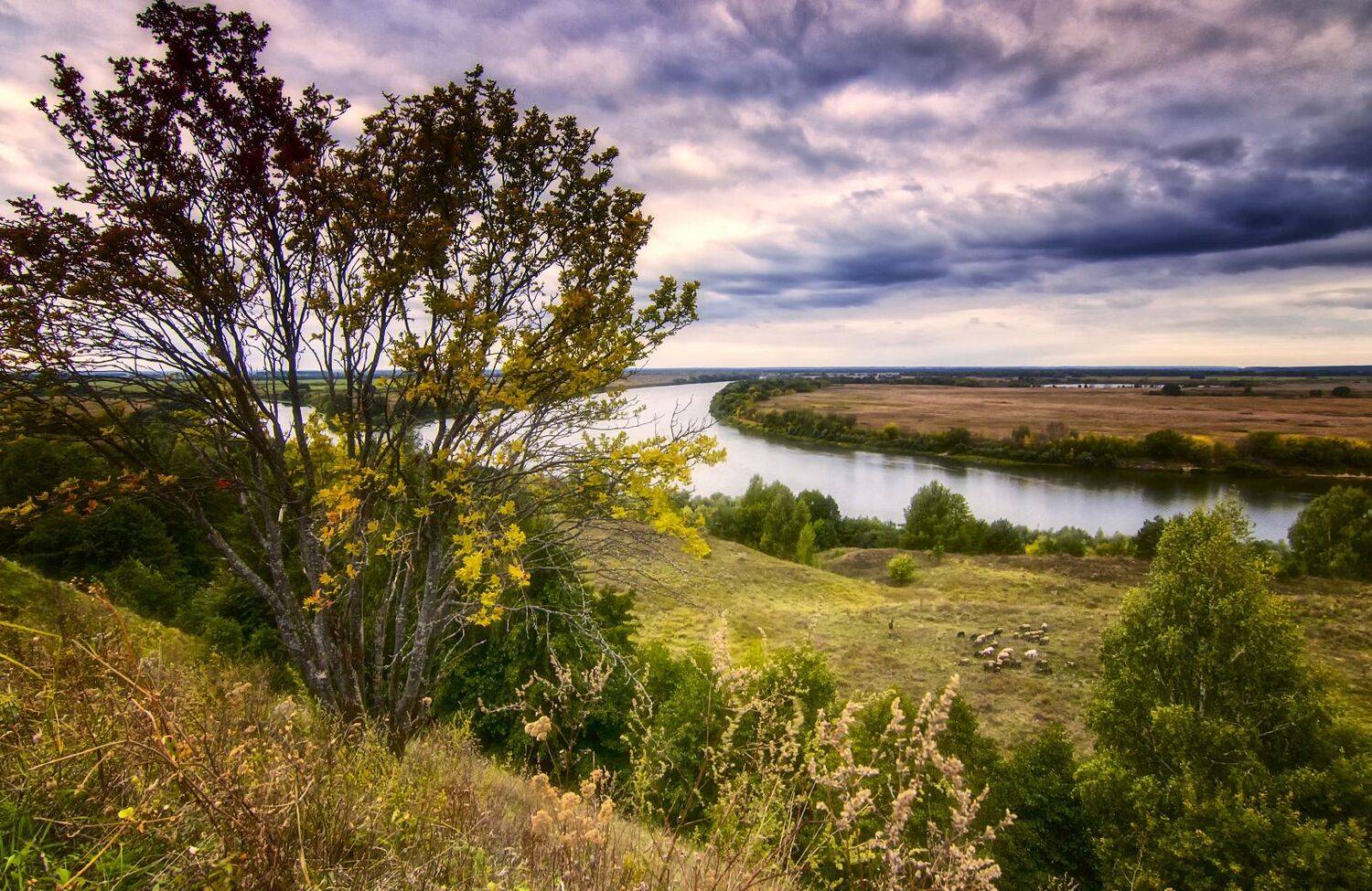 осень,река,овцы,пастух., Анатолий Салтыков