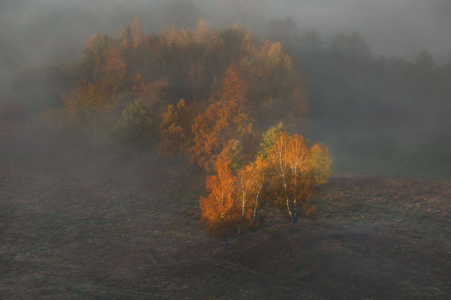 landscape,autumn,mountains,canon, Iza i Darek Mitręga