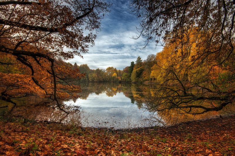 AUTUMN IN THE CITY фото превью
