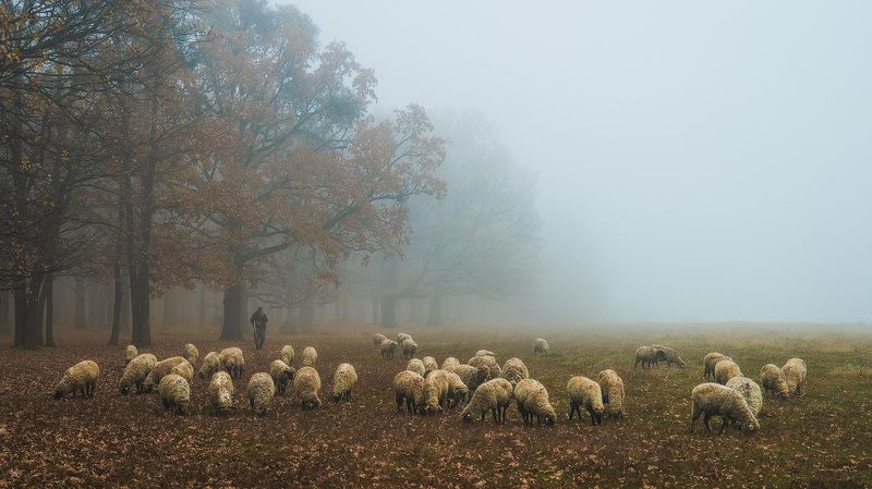 2021 фото превью